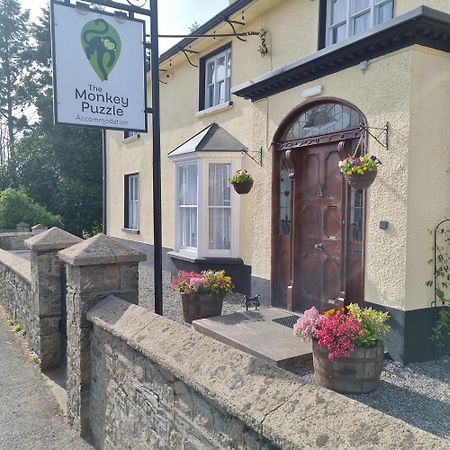 The Monkey Puzzle Hotel Bunclody Exterior foto