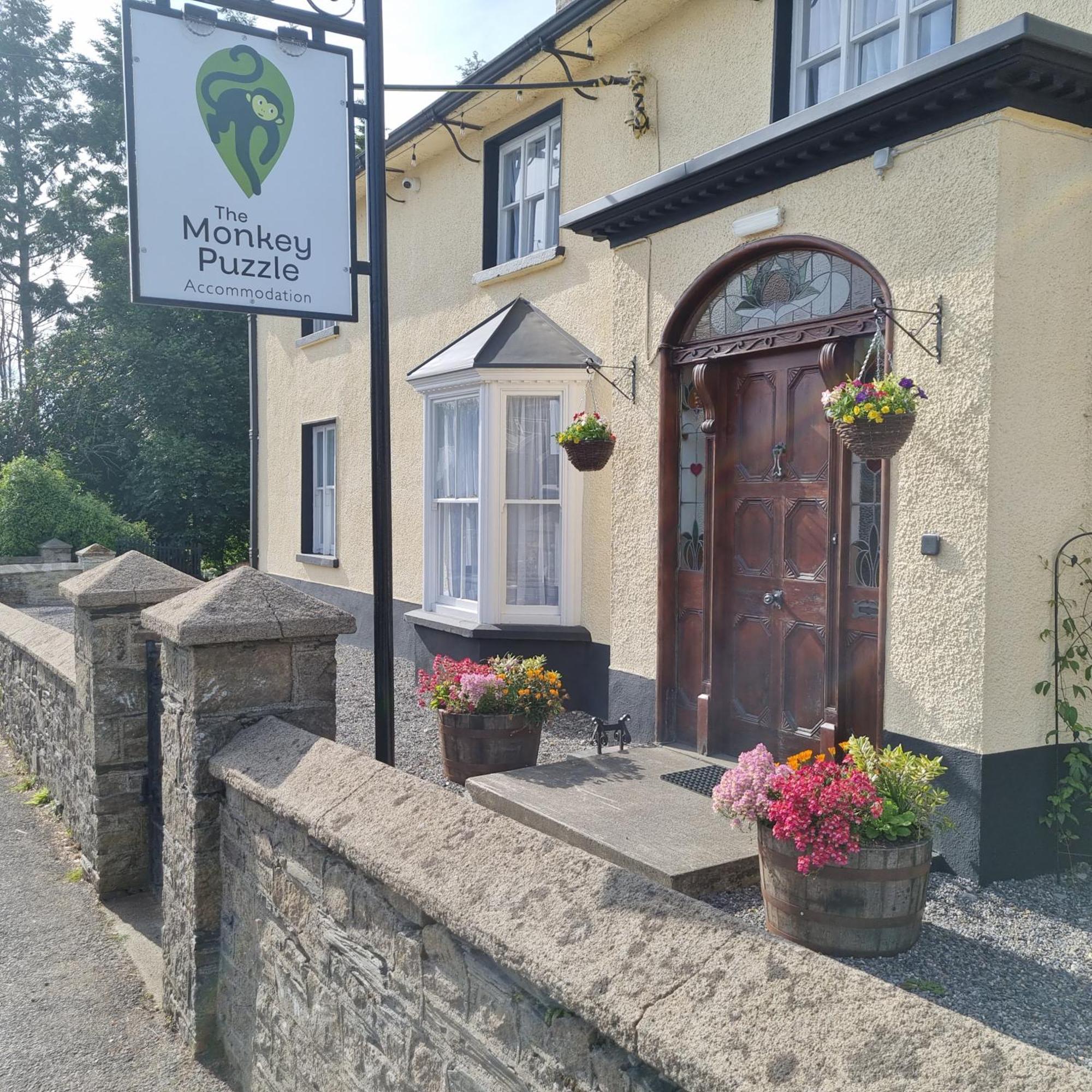 The Monkey Puzzle Hotel Bunclody Exterior foto